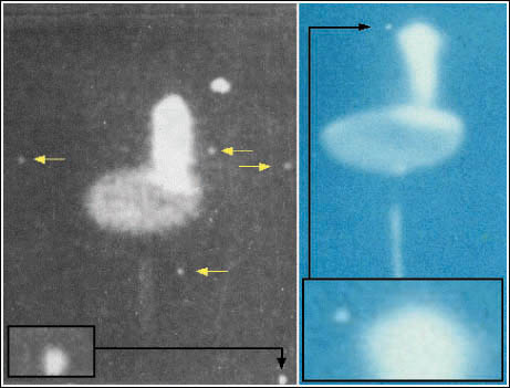 Podemos apreciar en esta imagen la cantidad y tama&ntilde;o de los corp&uacute;sculos presentes en las im&aacute;genes del Ovni del 17